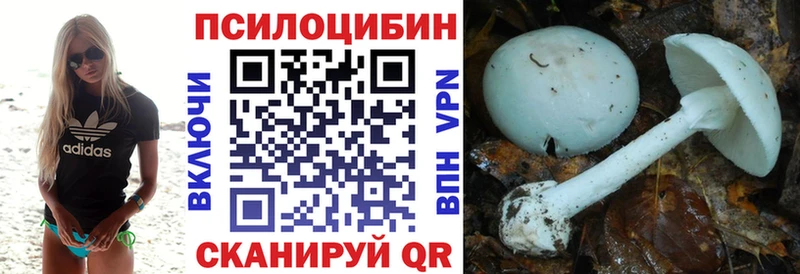 Галлюциногенные грибы мухоморы Купить закладки Губкинский