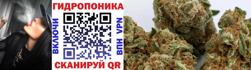 Бошки марихуана тримм  Купить где  Губкинский 